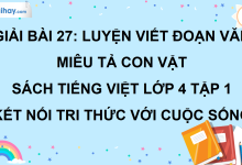 Bài 27: Luyện viết đoạn văn miêu tả con vật trang 120 SGK Tiếng Việt lớp 4 tập 1 Kết nối tri thức với cuộc sống>