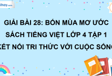 Bài 28: Bốn mùa mơ ước trang 122 SGK Tiếng Việt lớp 4 tập 1 Kết nối tri thức với cuộc sống>