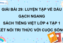 Bài 29: Luyện tập về dấu gạch ngang trang 127 SGK Tiếng Việt lớp 4 tập 1 Kết nối tri thức với cuộc sống>