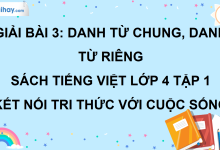 Bài 3: Danh từ chung, danh từ riêng trang 18 SGK Tiếng Việt lớp 4 tập 1 Kết nối tri thức với cuộc sống>