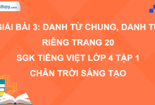 Bài 3: Danh từ chung, danh từ riêng trang 20 SGK Tiếng Việt 4 tập 1 Chân trời sáng tạo>