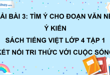 Bài 3: Tìm ý cho đoạn văn nêu ý kiến trang 19 SGK Tiếng Việt lớp 4 tập 1 Kết nối tri thức với cuộc sống>