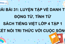 Bài 31: Luyện tập về danh từ, động từ, tính từ trang 133 SGK Tiếng Việt lớp 4 tập 1 Kết nối tri thức với cuộc sống>