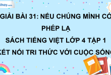 Bài 31: Nếu chúng mình có phép lạ trang 132 SGK Tiếng Việt lớp 4 tập 1 Kết nối tri thức với cuộc sống>