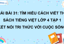 Bài 31: Tìm hiểu cách viết thư trang 134 SGK Tiếng Việt lớp 4 tập 1 Kết nối tri thức với cuộc sống>