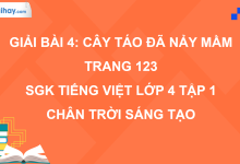 Bài 4: Cây táo đã nảy mầm trang 123 SGK Tiếng Việt 4 tập 1 Chân trời sáng tạo>