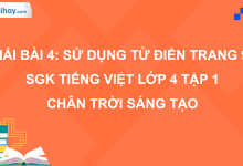 Bài 4: Sử dụng từ điển trang 94 SGK Tiếng Việt 4 tập 1 Chân trời sáng tạo>