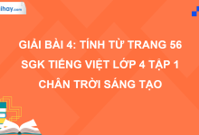 Bài 4: Tính từ trang 56 SGK Tiếng Việt 4 tập 1 Chân trời sáng tạo>