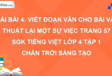 Bài 4: Viết đoạn văn cho bài văn thuật lại một sự việc trang 57 SGK Tiếng Việt 4 tập 1 Chân trời sáng tạo>