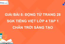 Bài 5: Động từ trang 28 SGK Tiếng Việt 4 tập 1 Chân trời sáng tạo>