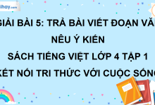 Bài 5: Trả bài viết đoạn văn nêu ý kiến trang 25 SGK Tiếng Việt lớp 4 tập 1 Kết nối tri thức với cuộc sống>