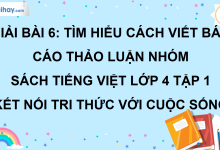 Bài 6: Tìm hiểu cách viết báo cáo thảo luận nhóm trang 28 SGK Tiếng Việt lớp 4 tập 1 Kết nối tri thức với cuộc sống>