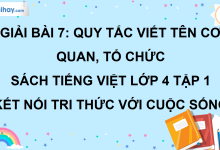 Bài 7: Quy tắc viết tên cơ quan, tổ chức trang 32 SGK Tiếng Việt lớp 4 tập 1 Kết nối tri thức với cuộc sống>