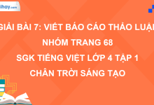 Bài 7: Viết báo cáo thảo luận nhóm trang 68 SGK Tiếng Việt 4 tập 1 Chân trời sáng tạo>