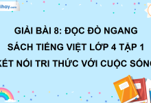 Bài 8: Đò ngang trang 34 SGK Tiếng Việt lớp 4 tập 1 Kết nối tri thức với cuộc sống>