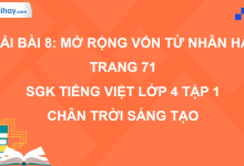 Bài 8: Mở rộng vốn từ Nhân hậu trang 71 SGK Tiếng Việt 4 tập 1 Chân trời sáng tạo>