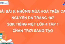 Bài 8: Những mùa hoa trên cao nguyên đá trang 107 SGK Tiếng Việt 4 tập 1 Chân trời sáng tạo>