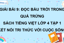 Bài 9: Bầu trời trong quả trứng trang 39 SGK Tiếng Việt lớp 4 tập 1 Kết nối tri thức với cuộc sống>