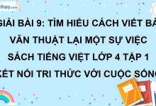 Bài 9: Tìm hiểu cách viết bài văn thuật lại một sự việc trang 42 SGK Tiếng Việt lớp 4 tập 1 Kết nối tri thức với cuộc sống>