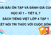 Bài: Đánh giá cuối học kì 1 - Tiết 6, 7 trang 142 SGK Tiếng Việt lớp 4 tập 1 Kết nối tri thức với cuộc sống>