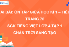 Bài: Ôn tập giữa học kì 1 - Tiết 2 trang 75 SGK Tiếng Việt 4 tập 1 Chân trời sáng tạo>