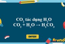 CO2 + H2O → H2CO3