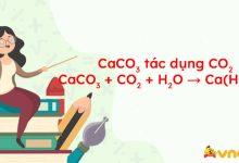 CaCO3 + CO2 + H2O → Ca(HCO3)2