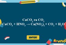 CaCO3 + HNO3 → Ca(NO3)2 + CO2 + H2O