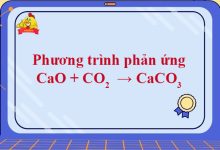 CaO + CO2 → CaCO3