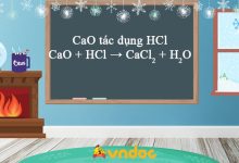 CaO + HCl → CaCl2 + H2O