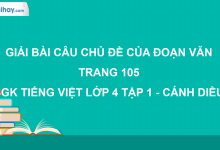 Câu chủ đề của đoạn văn trang 105 SGK Tiếng Việt 4 tập 1 Cánh diều>