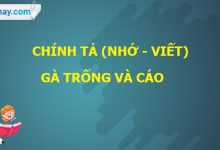 Chính tả: Gà Trống và Cáo trang 67 SGK Tiếng Việt 4 tập 1>
