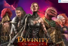 Divinity Original Sin Walkthrough, Guide, and Gameplay