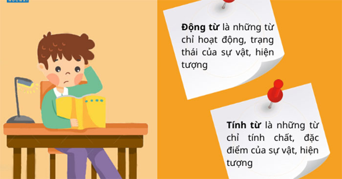 Chức năng chính của động từ