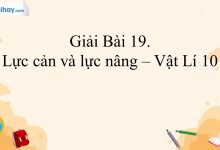 Giải vật lí 10 bài 19 trang 77, 78, 79 Kết nối tri thức