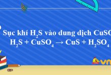 H2S + CuSO4 → CuS + H2SO4
