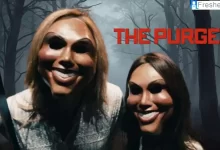Is The Purge Based on a True Story? The Purge Ending Explained Plot, Cast, and Trailer