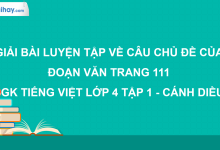 Luyện tập về câu chủ đề của đoạn văn trang 111 SGK Tiếng Việt 4 tập 1 Cánh diều>