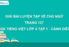 Luyện tập về chủ ngữ trang 127 SGK Tiếng Việt 4 tập 1 Cánh diều>
