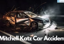 Mitchell Katz Car Accident, What Happened to Mitchell Katz?