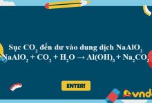 NaAlO2 + CO2 + H2O → Al(OH)3 + Na2CO3