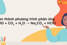 NaClO + CO2 + H2O → Na2CO3 + HClO