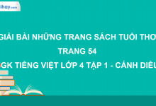 Những trang sách tuổi thơ trang 54 SGK Tiếng Việt 4 tập 1 Cánh diều>