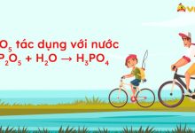 P2O5 + H2O → H3PO4