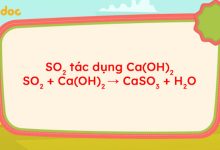 SO2 + Ca(OH)2 → CaSO3 + H2O