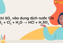 SO2 + Cl2 + H2O → HCl + H2SO4