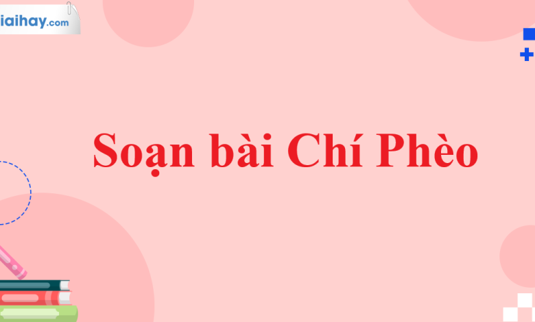 Soạn bài Chí Phèo SGK Ngữ văn 11 tập 1 Cánh diều - chi tiết>