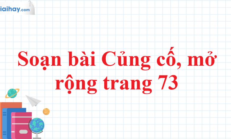 Soạn bài Củng cố, mở rộng trang 73 SGK Ngữ văn 11 tập 1 Kết nối tri thức - chi tiết>