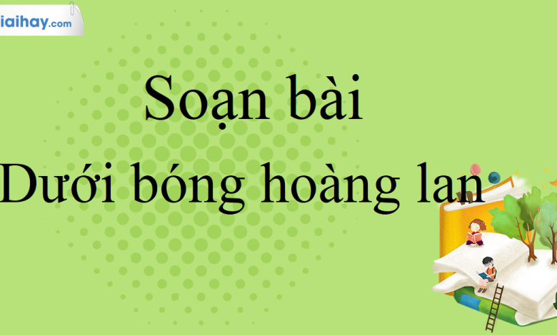 Soạn bài Dưới bóng hoàng lan SGK Ngữ Văn 10 tập 2 Kết nối tri thức - siêu ngắn>