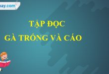 Soạn bài: Gà Trống và Cáo trang 50 SGK Tiếng Việt 4 tập 1>